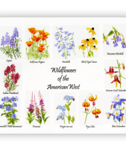 Images of wildflowers of the American west on a large tempered glass cutting board