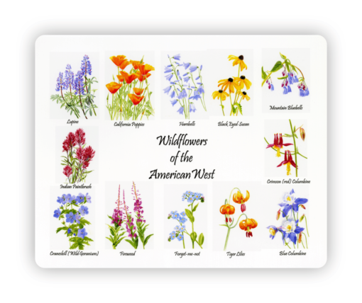 Images of wildflowers of the American west on a large tempered glass cutting board