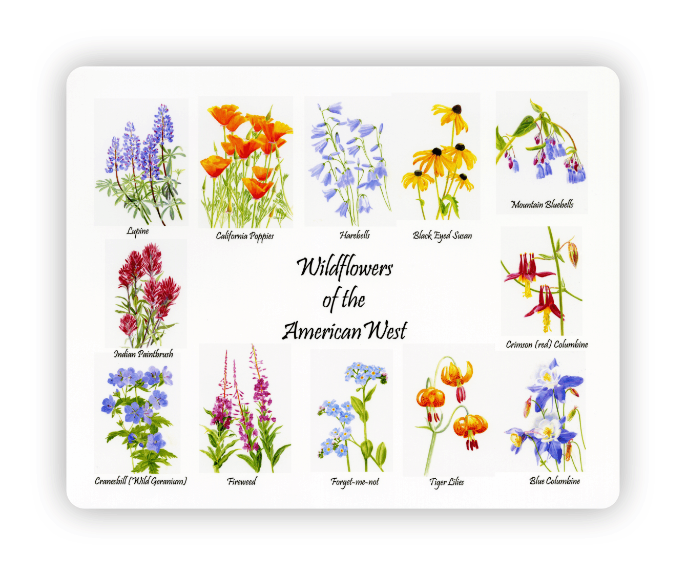 Wild Flowers of the American West Cutting Board CC-1000b – Component ...